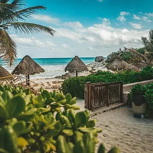 La Conchita (adults Only) 4*, Tulum Pueblo Mexico